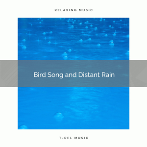 Nice and Meaningful Rain for You to Rest Now