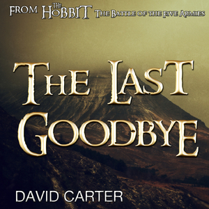 The Last Goodbye