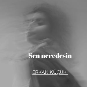 Sen neredesin