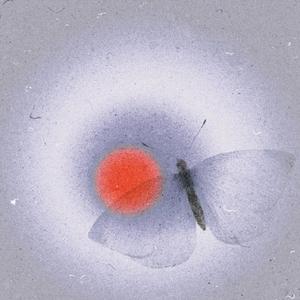 Lonely Shade of Blue