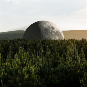 Dead Trees (Acoustic)