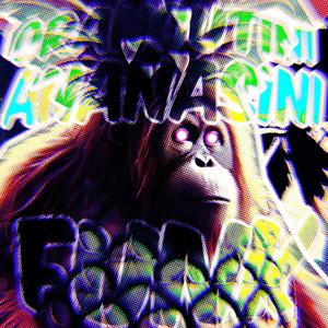 ORANGUTINI ANANASINI FUNK