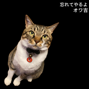 選ぶ権利はこっちにあるぜ