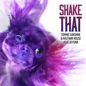 Shake That (Original Mix)