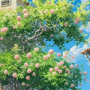 逃跑计划-夜空中最亮的星（张大鹅 remix）