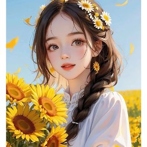 群星-水调歌头.明月几时有（甜心格格 remix）