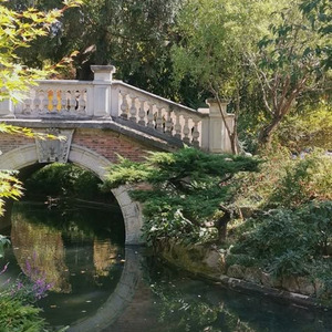 Rooting For You (slowed)