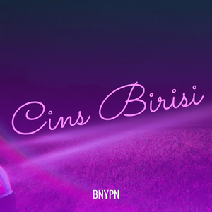 Cins Birisi