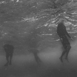 叶子（翻自 阿桑）