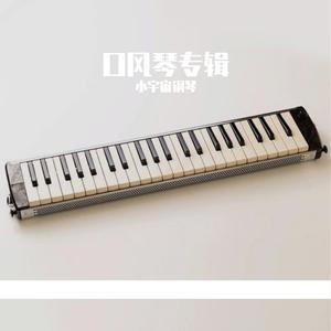 野菊花-赵照（翻自 赵照）