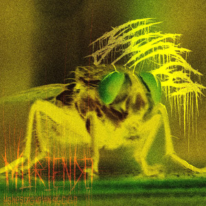 “MURIENDO” (Las moscas no van al cielo)