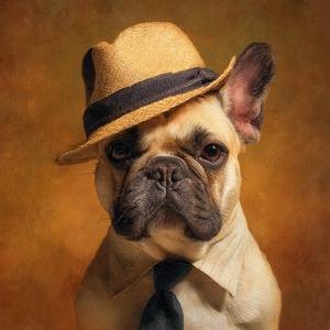 Coffee Steam That Dazzles