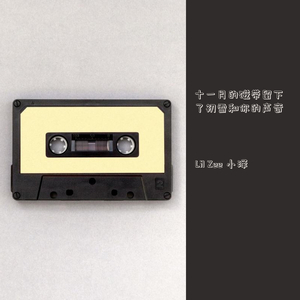 十一月的磁带留下了初雪和你的声音