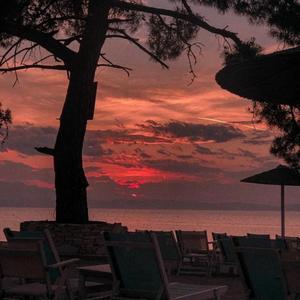 最熟悉的陌生人