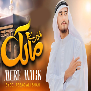 YE WATAN TUMHARA HAI