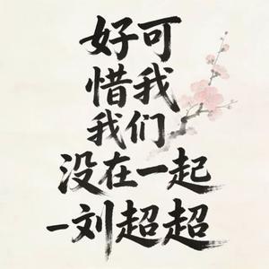 好可惜我们没在一起 (DJ思思涵版)