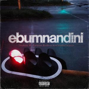 Ebumnandini (feat. Thobile M, Fatsow & Badboy)