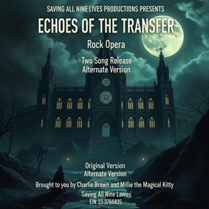 Echoes of the Transfer