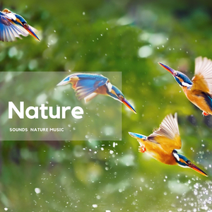 Celestial Waters and Mountain Echoes