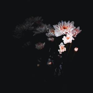 FREE)名为痛drill beat