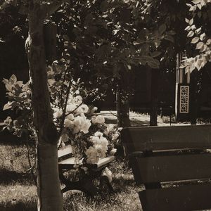 感情不过是一场戏