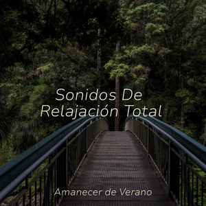 Ecos de Recuerdos Ardientes