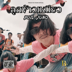 ลูกข้าวเหนียว