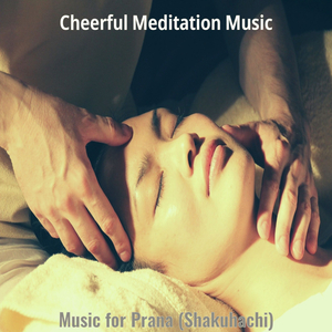 Shakuhachi and Koto Soundtrack for Prana