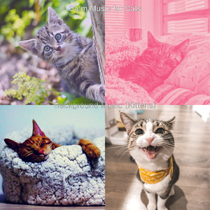 Relaxed (Kittens)