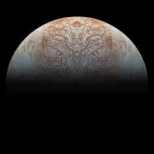 No Promise for the Future