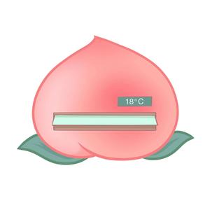 鸽子（cover徐秉龙）