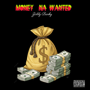 Money Na Wanted