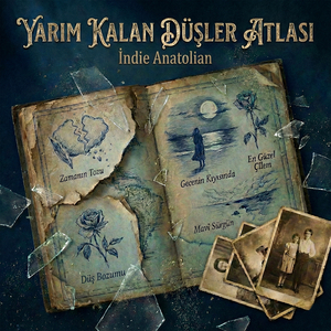 Solgun Resim