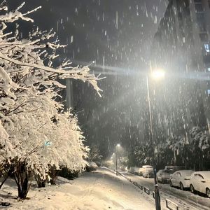 瑰花舞