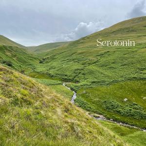 Serotonin