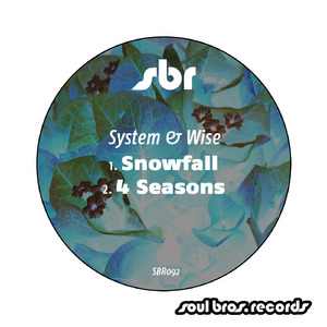 Snowfall