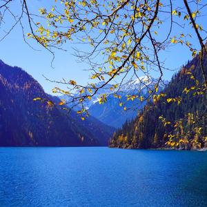 一半一半（抖音热播版）