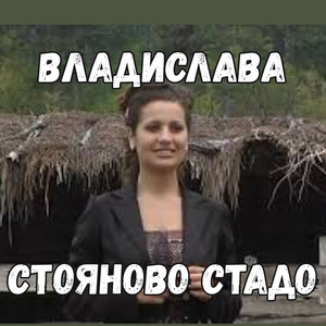 Стояново стадо