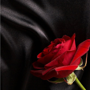 the rose(cover westlife)（翻自 Westlife）