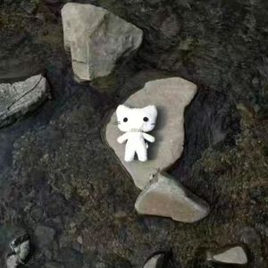 失重飛行