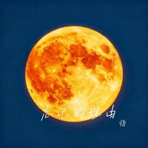 忘记的理由 (悟 Remix)