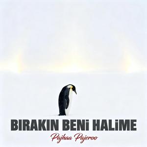 Bırakın Beni Halime