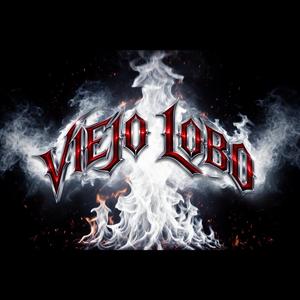 Viejo Lobo