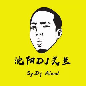 DJ艾兰独家制作沈风经典曲目第九弹（沈阳DJ艾兰 remix）