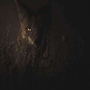 黑夜（Prod by BLACKFAT洪汝超)