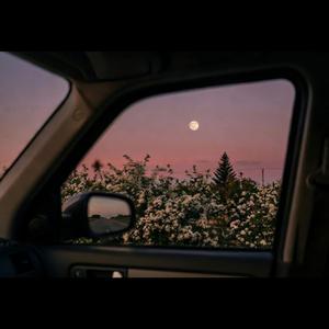 Fading