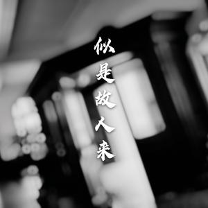 似是故人来（翻自 洪尘）