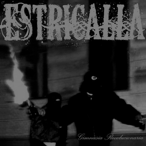 Errealitatea Autobusean Paseo Bat Da (Frikibus)