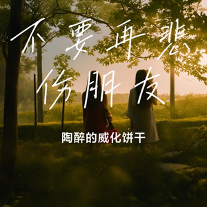 不要再悲伤朋友-dj啊智版