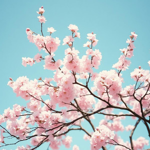 イミテーション